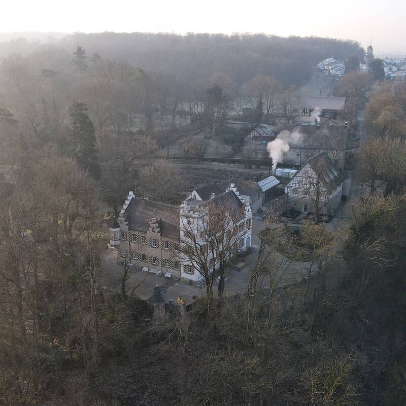 Luftbild von einem Schloss welches in Mitten von entlaubten Bäumen steht.