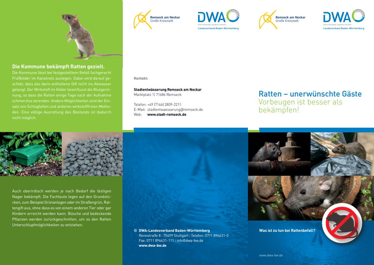 Flyer zur Bekämpfung von Ratten.