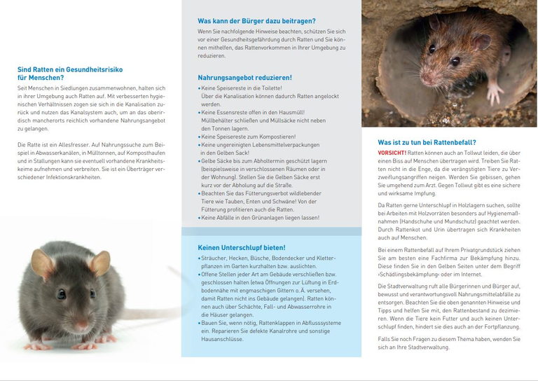 Flyer zur Bekämpfung von Ratten - Teil 2