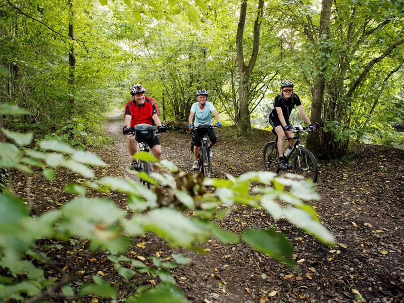 Drei Personen auf einem Fahrrad auf einem Waldweg.