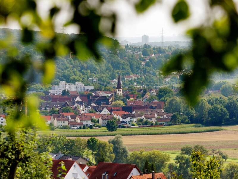 Blick auf den Stadtteil Neckargröningen.