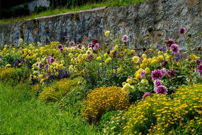 Blumenbeet vor einer Steinmauer