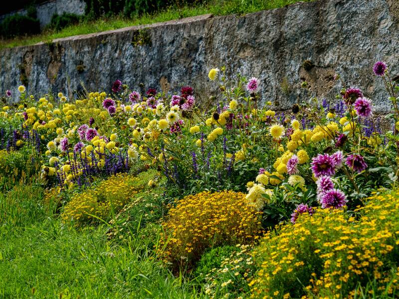 Blumenbeet vor einer Steinmauer