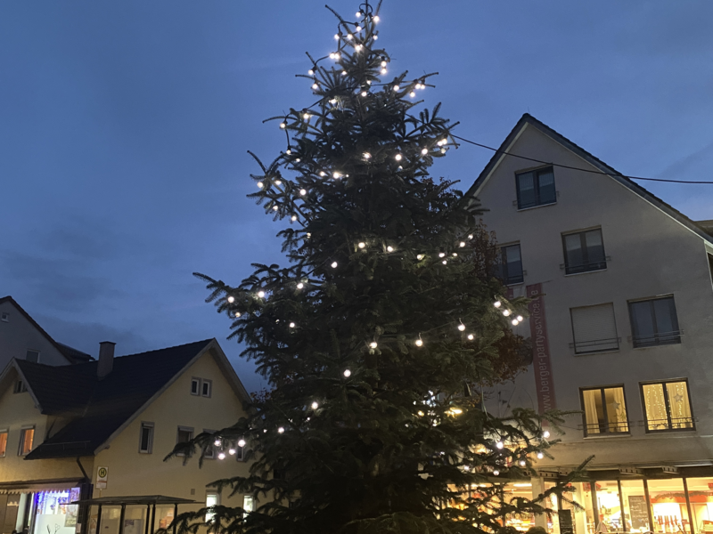 Ein großer Weihnachtsbaum mit Lichtern steht in einer abendlichen Straßenkulisse vor mehreren Gebäuden.