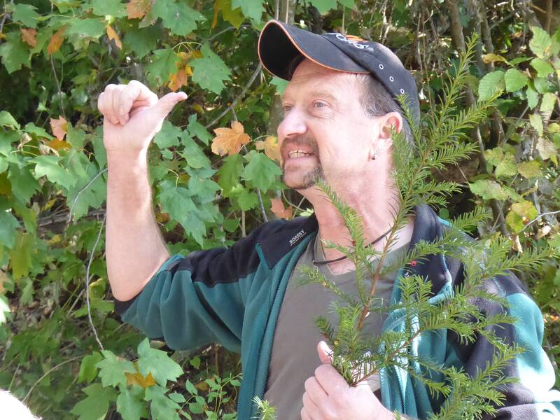 Ein Mann mit Baseballkappe steht in einem Wald, hält einen Zweig und zeigt mit dem Daumen nach oben.
